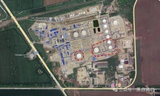 开云体育官网-3月12日俄乌:乌克兰角色的互换